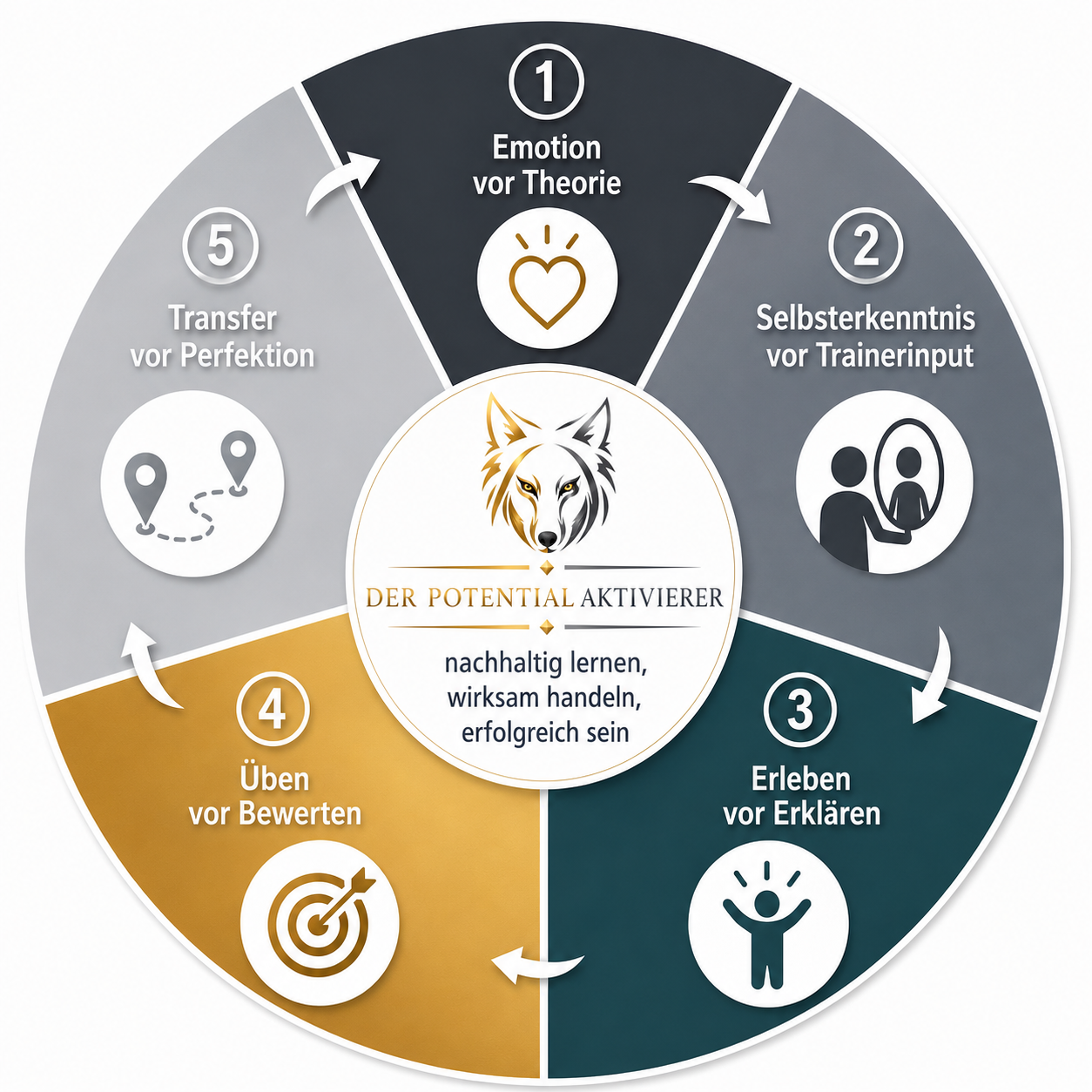 DER_POTENTIAL AKTIVIERER_Didaktik_Training_Bild_coporate_Design